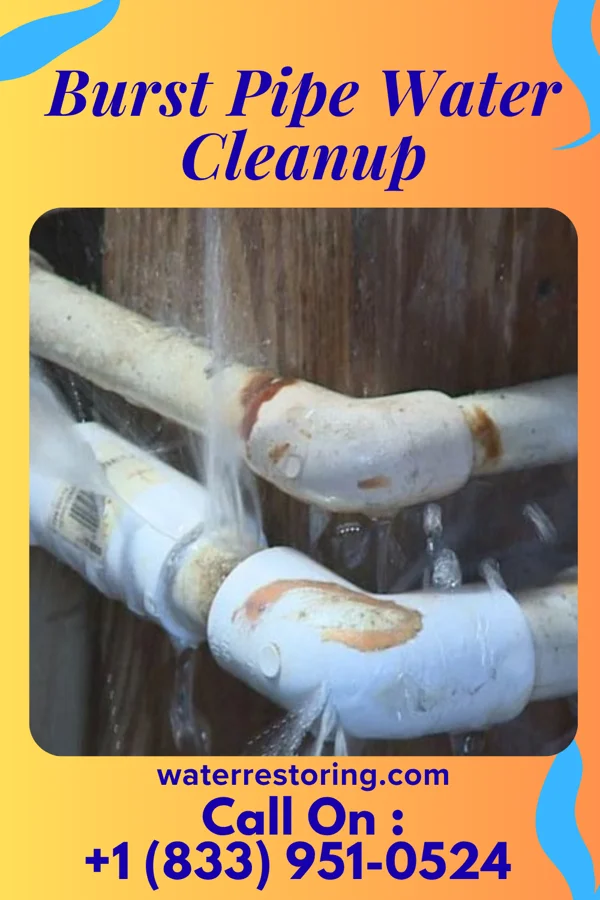 Burst Pipe Water Cleanup in Plandome Manor, NY