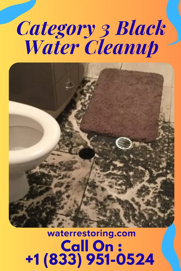 Category 3 Black Water Cleanup in Plandome Manor, NY
