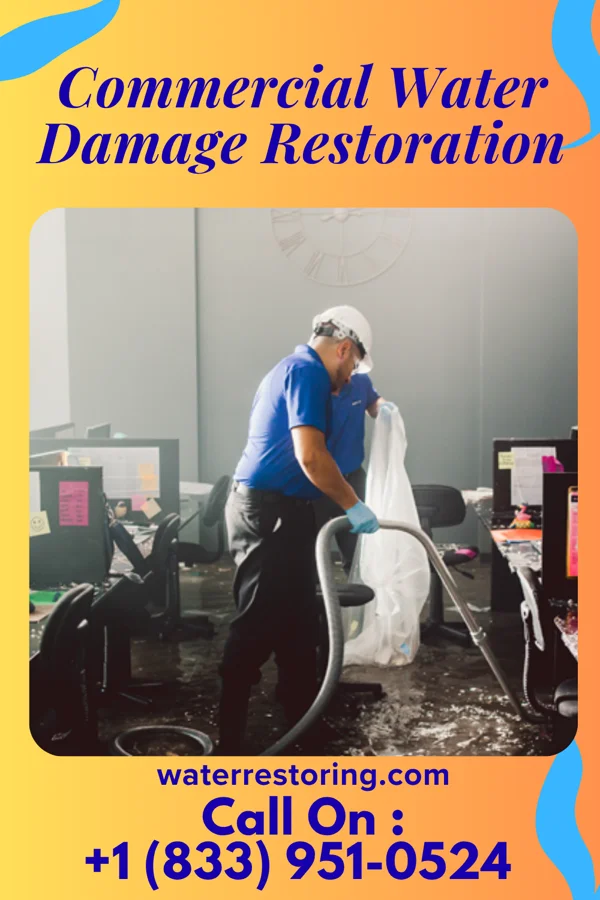 Commercial Water Damage Restoration in Plandome Manor, NY