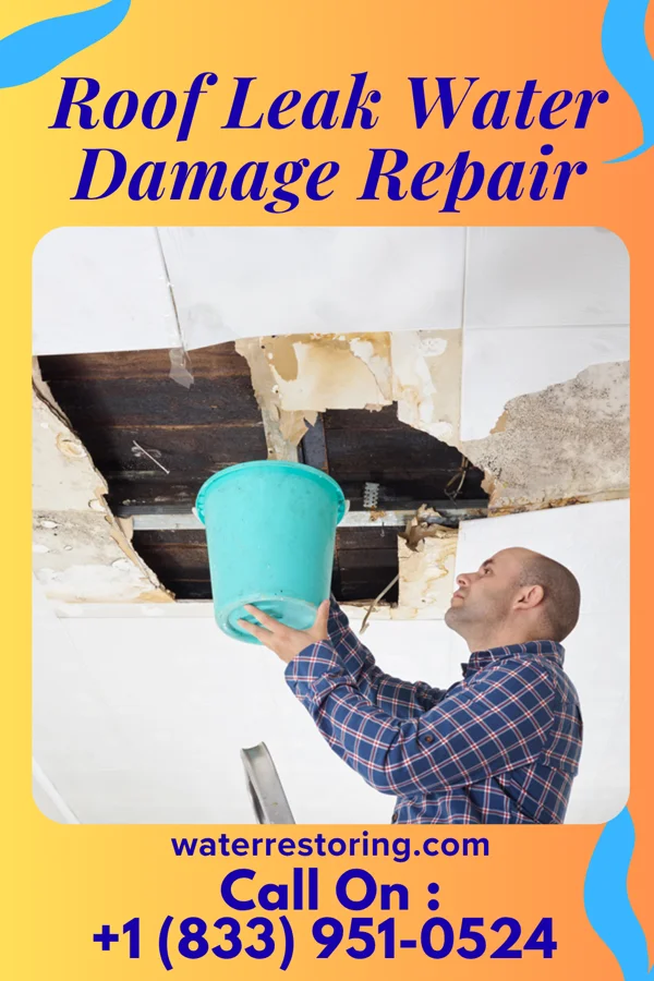 Roof Leak Water Damage Repair in Plandome Manor, NY