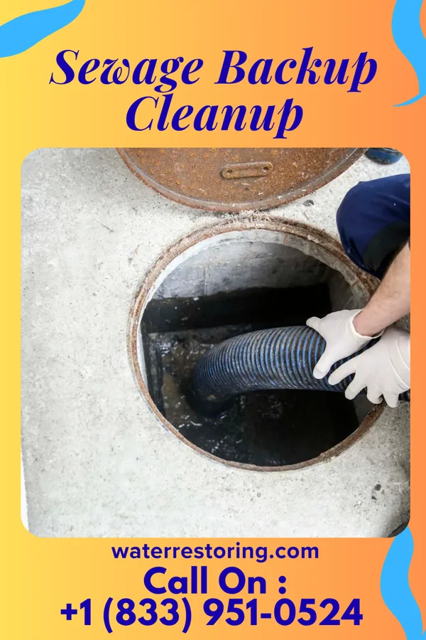 Sewage Backup Cleanup in Plandome Manor, NY