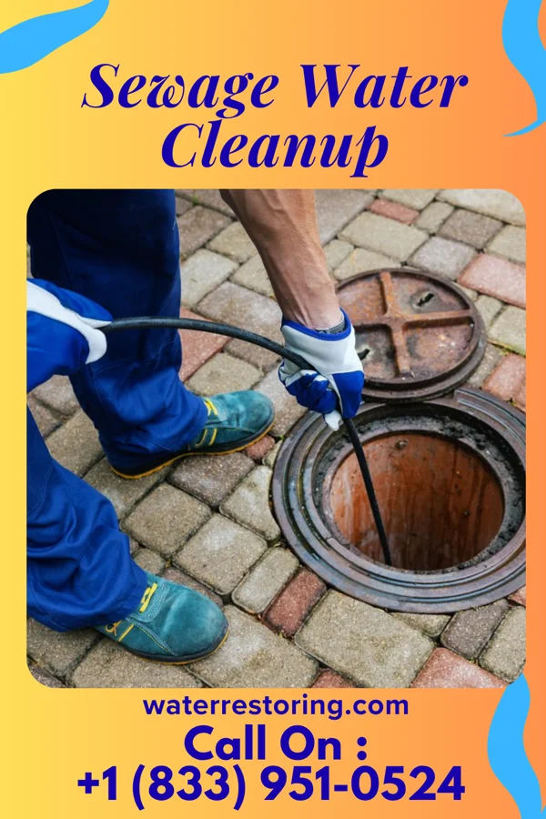 Sewage Water Cleanup in Plandome Manor, NY
