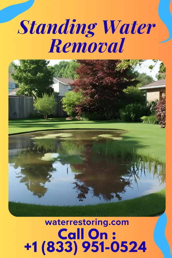 Standing Water Removal in Plandome Manor, NY